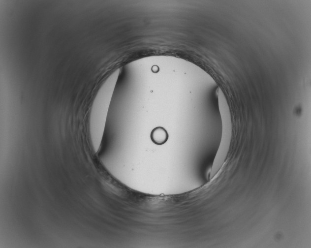 X0000116670136201001111319