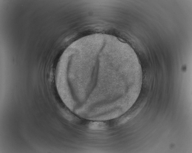 X0000116670137201001111319