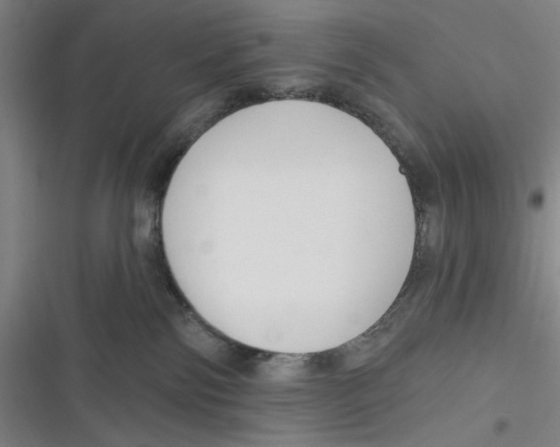 X0000116670138201001111319