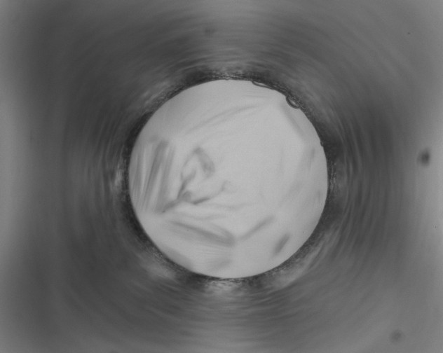 X0000116670139201001111319