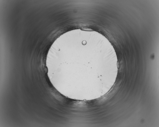 X0000116670140201001111319