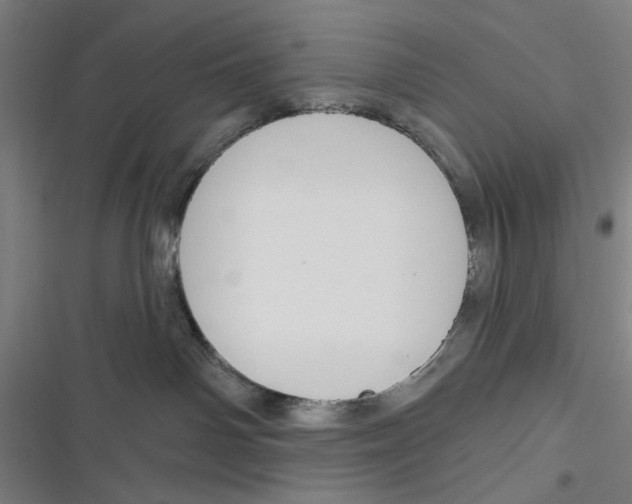 X0000116670142201001111319
