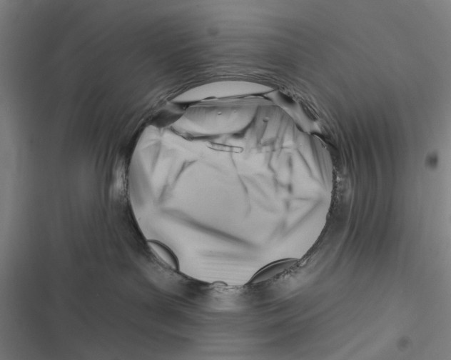 X0000116670143201001111318