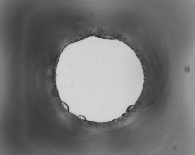 X0000116670144201001111318