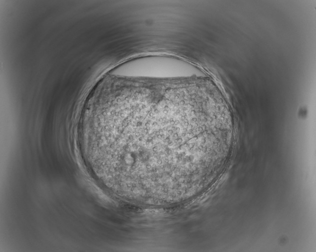 X0000116670145201001111318