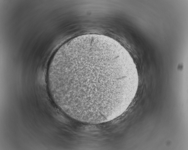 X0000116670146201001111318