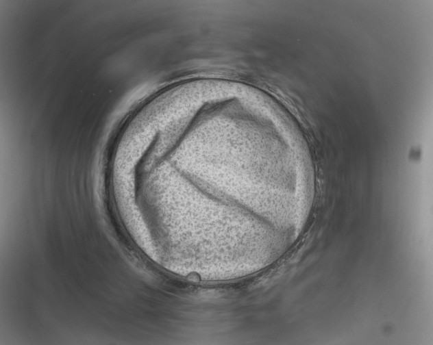 X0000116670149201001111318