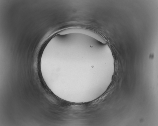 X0000116670150201001111318