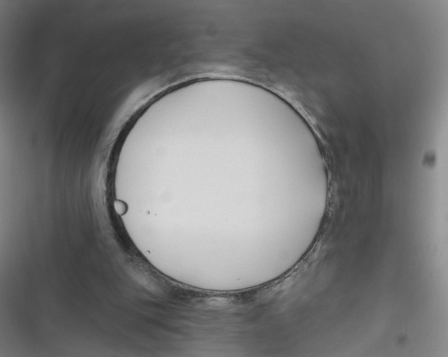 X0000116670151201001111318