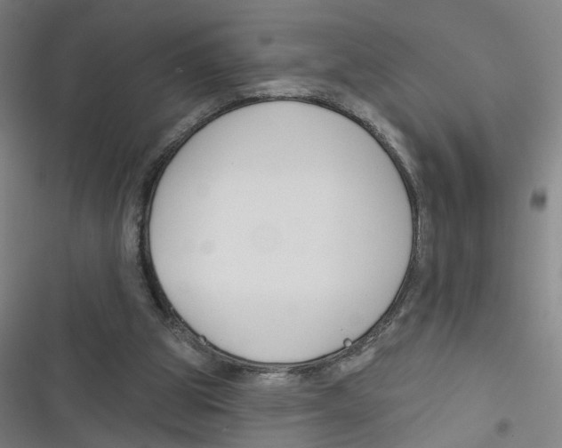 X0000116670153201001111318