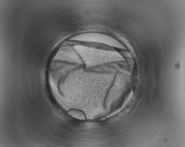 X0000116670154201001111318