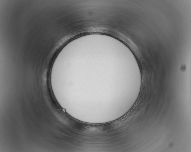 X0000116670155201001111318