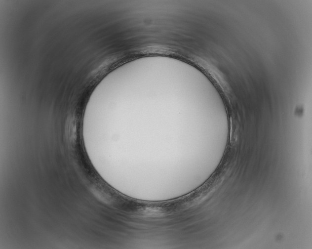 X0000116670157201001111318