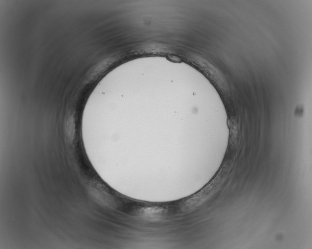 X0000116670158201001111318