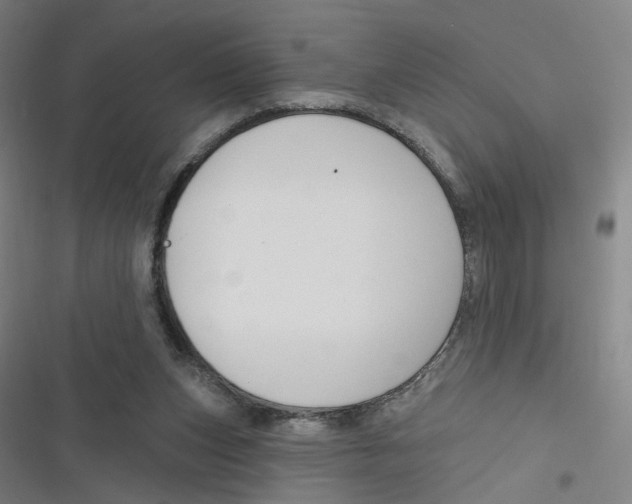 X0000116670159201001111318