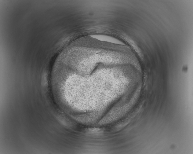 X0000116670161201001111318