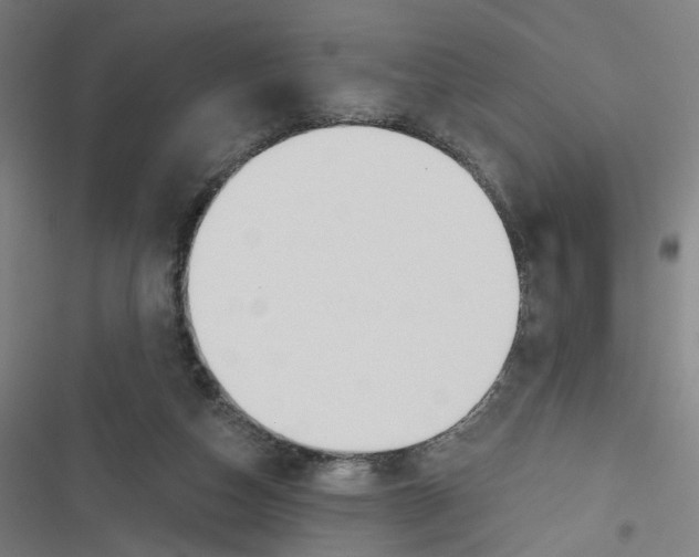 X0000116670162201001111318