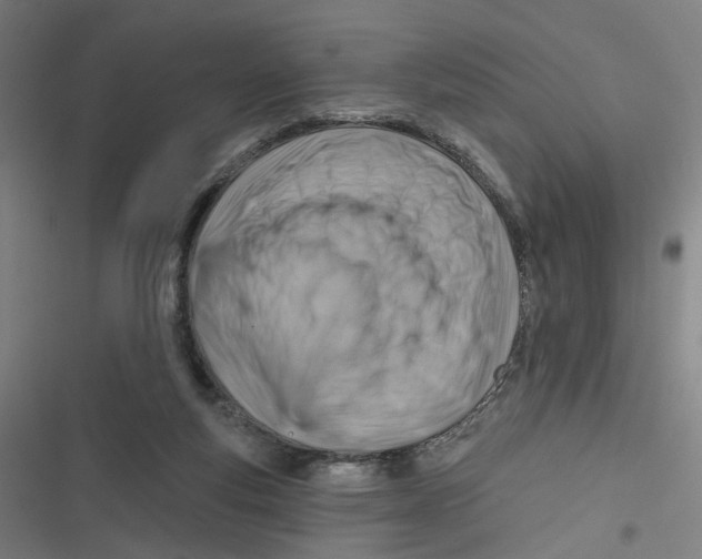 X0000116670163201001111318