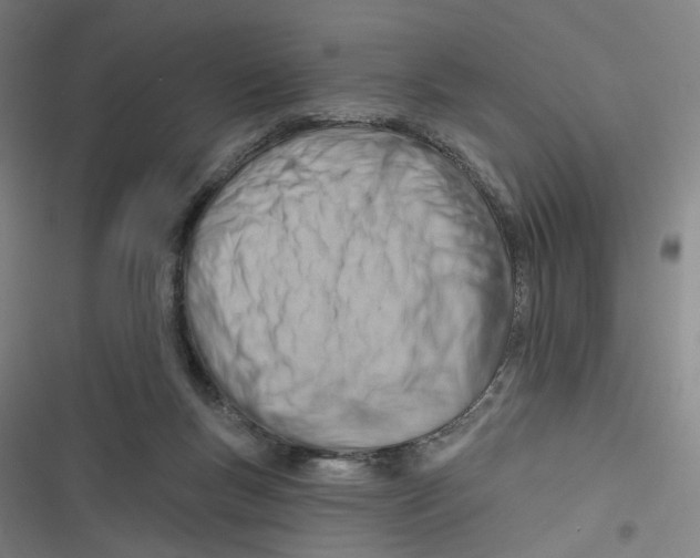 X0000116670167201001111318