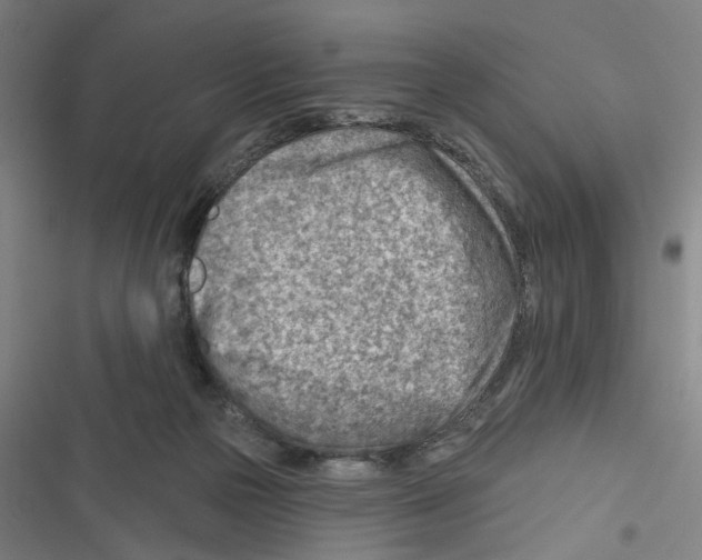 X0000116670169201001111318