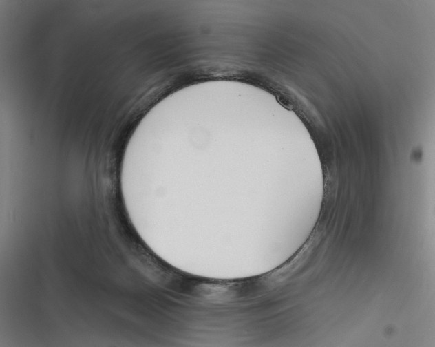 X0000116670170201001111318