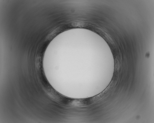 X0000116670171201001111318