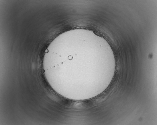X0000116670173201001111318