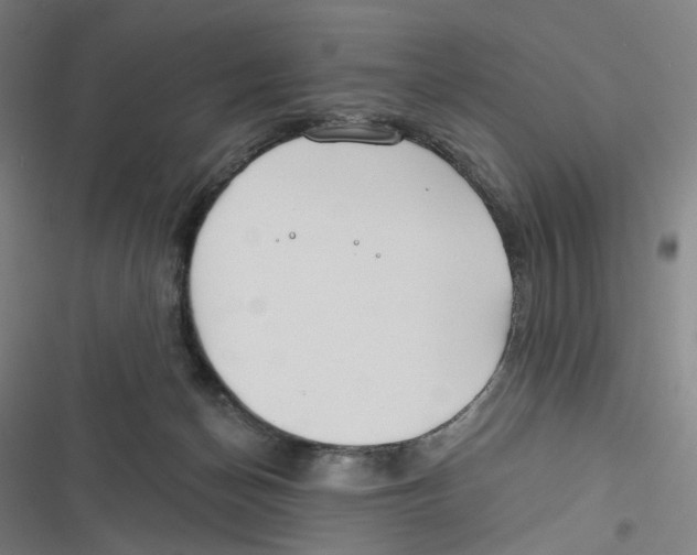 X0000116670174201001111318