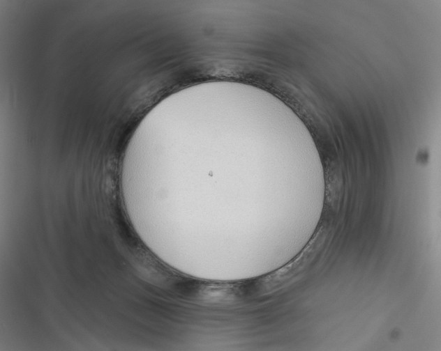 X0000116670175201001111318