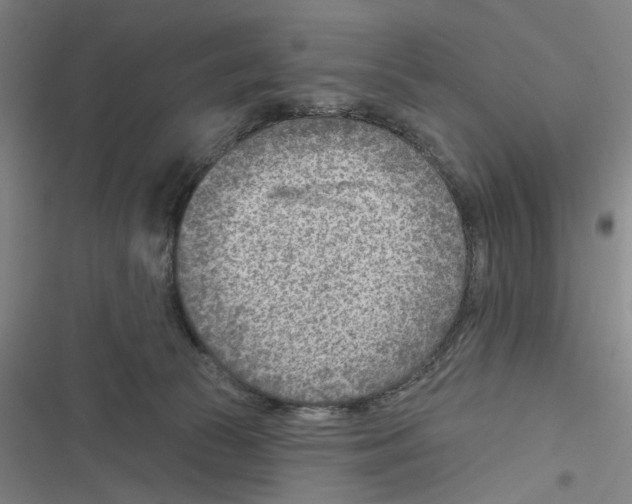 X0000116670177201001111318