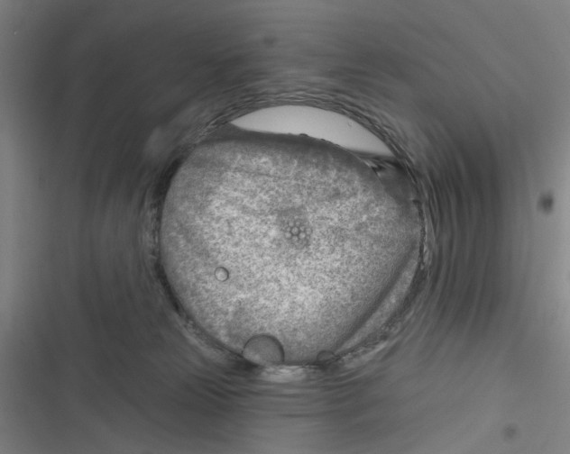 X0000116670181201001111318
