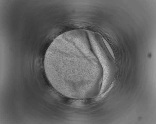 X0000116670182201001111318