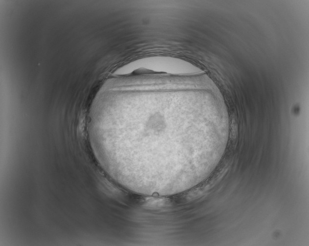 X0000116670185201001111318