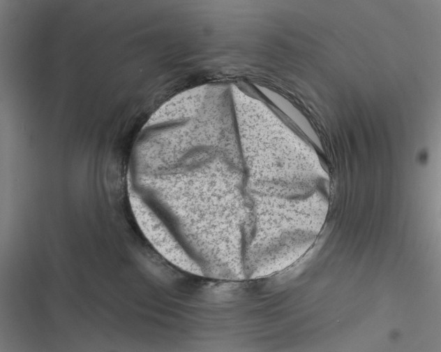 X0000116670186201001111318