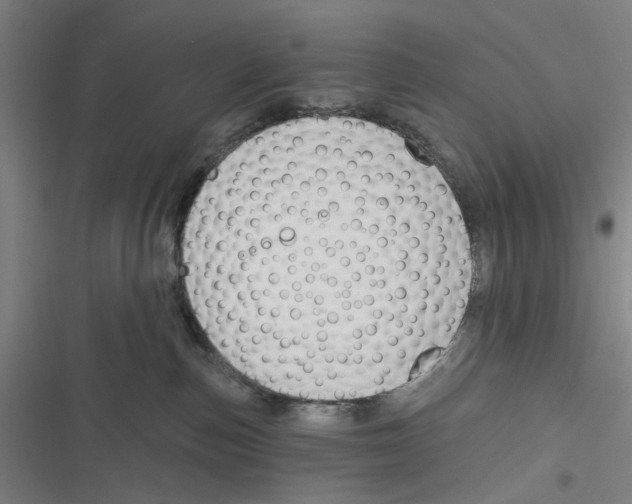 X0000116670187201001111318