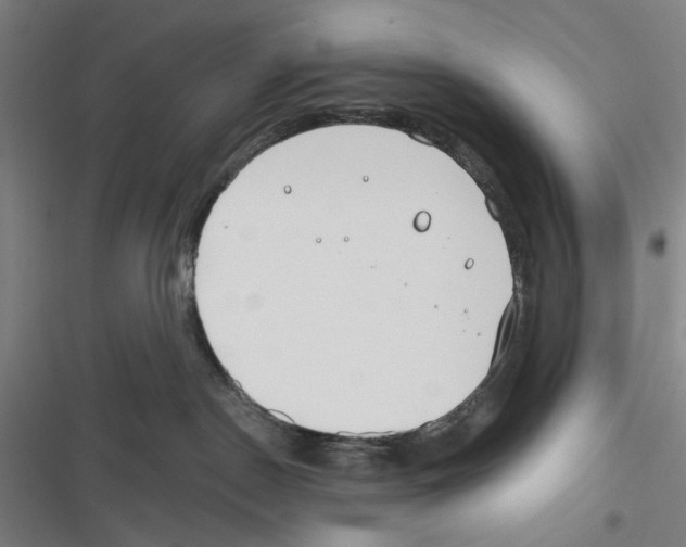 X0000116670190201001111318