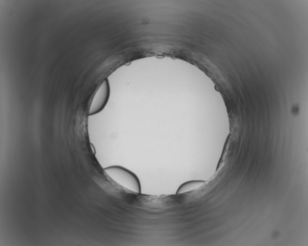 X0000116670191201001111318