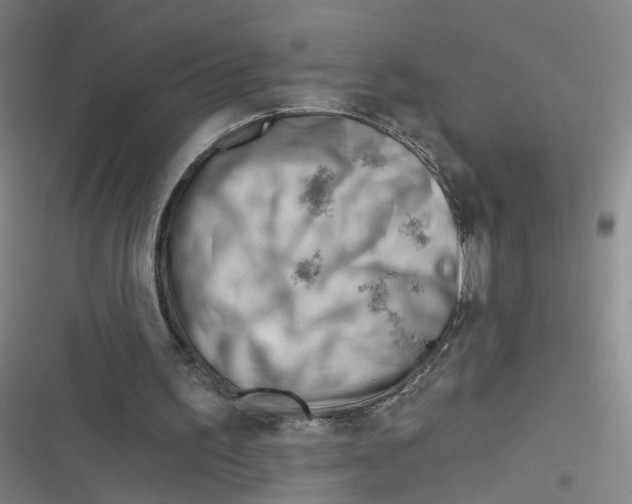 X0000116670195201001111318