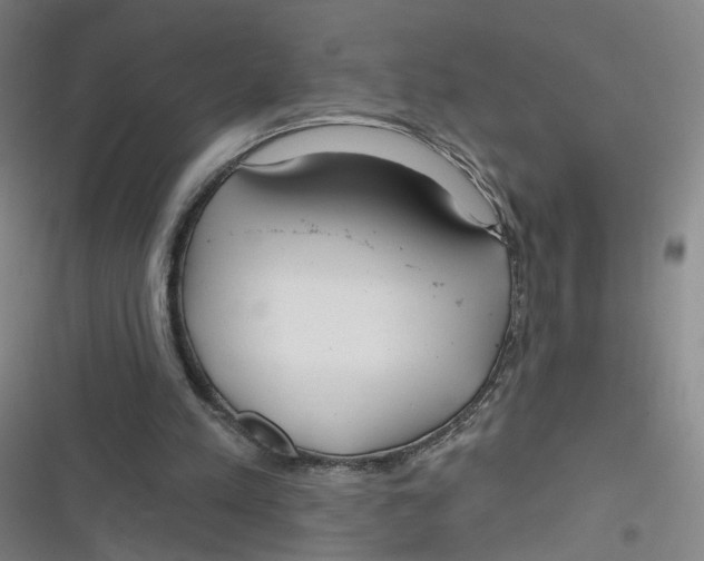 X0000116670197201001111318