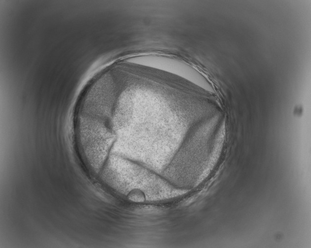 X0000116670198201001111318