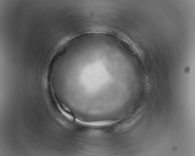 X0000116670203201001111318