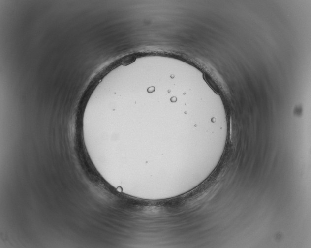 X0000116670204201001111318