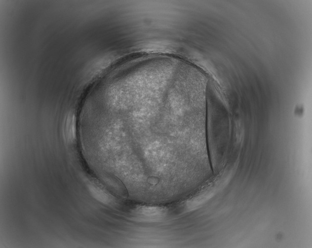 X0000116670205201001111318