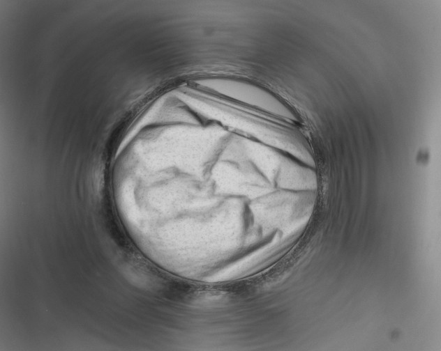 X0000116670206201001111318