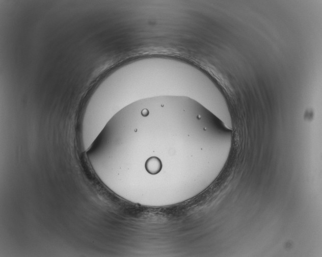 X0000116670207201001111318