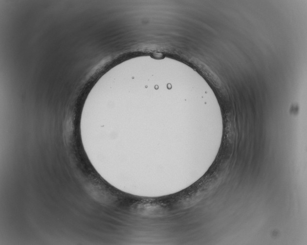 X0000116670208201001111318