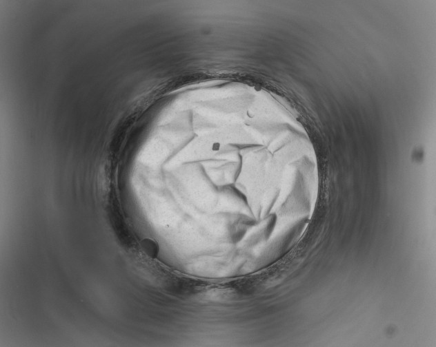 X0000116670210201001111318