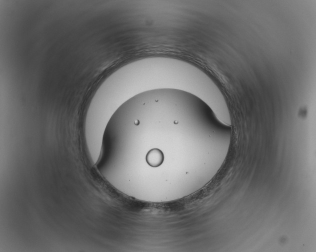 X0000116670211201001111318
