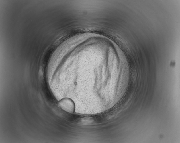 X0000116670214201001111318