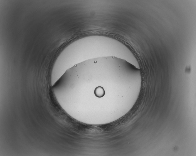 X0000116670215201001111318